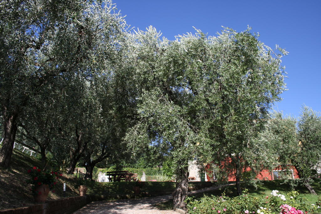 Casaliva Hotel Bardolino Exterior foto